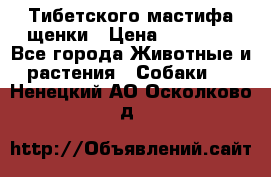  Тибетского мастифа щенки › Цена ­ 10 000 - Все города Животные и растения » Собаки   . Ненецкий АО,Осколково д.